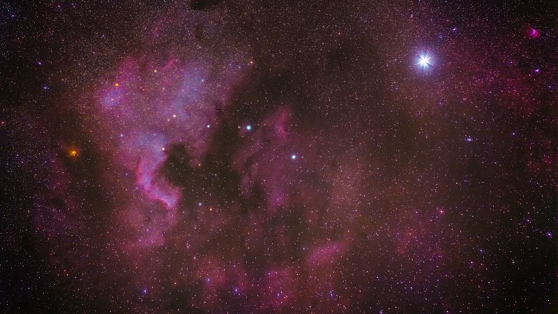 Nordamerikanebel NGC 7000 & Deneb