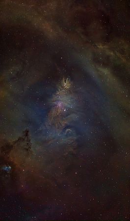 NGC 2264 Christmas Tree Cluster & Cone Nebula (SHO + RGB Sterne)