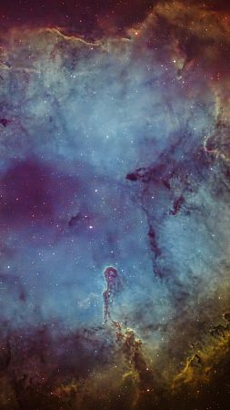 Elefantenrüsselnebel IC 1396A (SHO + RGB Sterne)